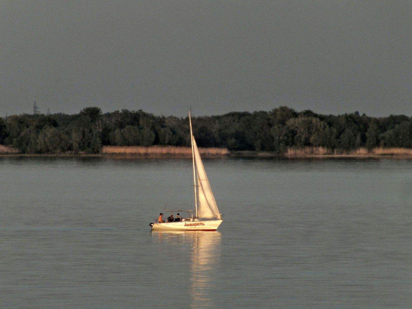 Velero en aguas tranquilas del Paraná frente a una isla arbolada